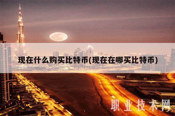现在什么购买比特币(现在在哪买比特币)-第1张图片-交易所